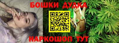 mdpv Новодвинск
