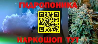 гидра Новокубанск