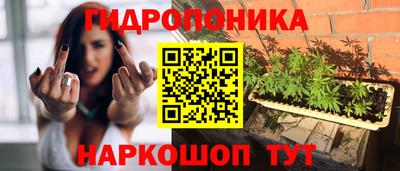 мескалин Новозыбков