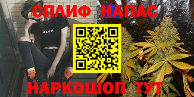 гидра Новокубанск