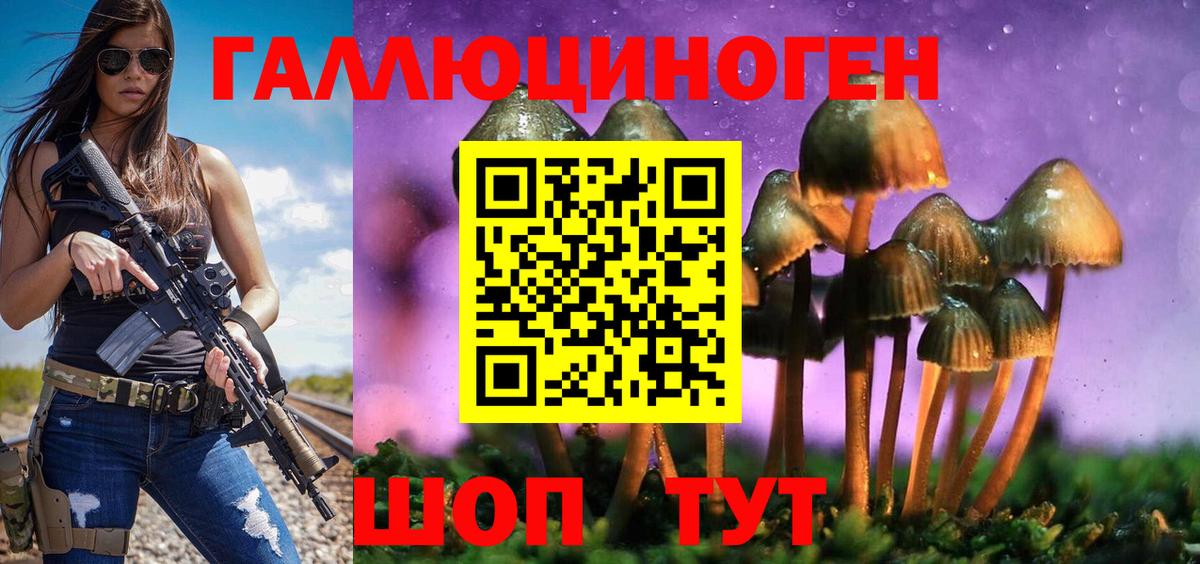 Галлюциногенные грибы Cubensis Соликамск